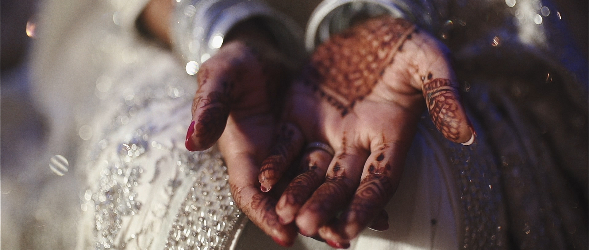 Wedding Videographer Minneapolis